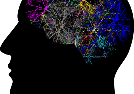 Fisioterapia a domicilio de ELA (Esclerosis Lateral Amiotrófica)