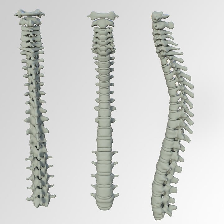 fisioterapia a domicilio de columna vertebral