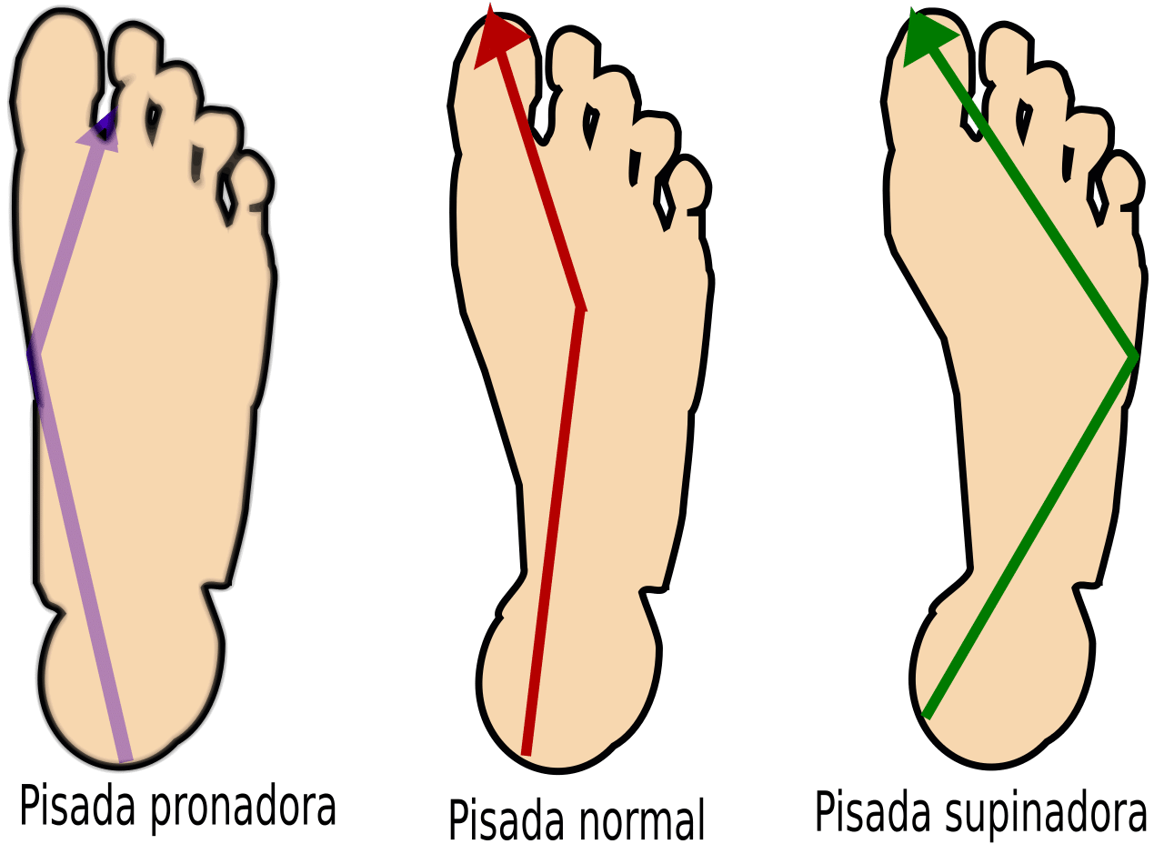 pisada prondador y supinador