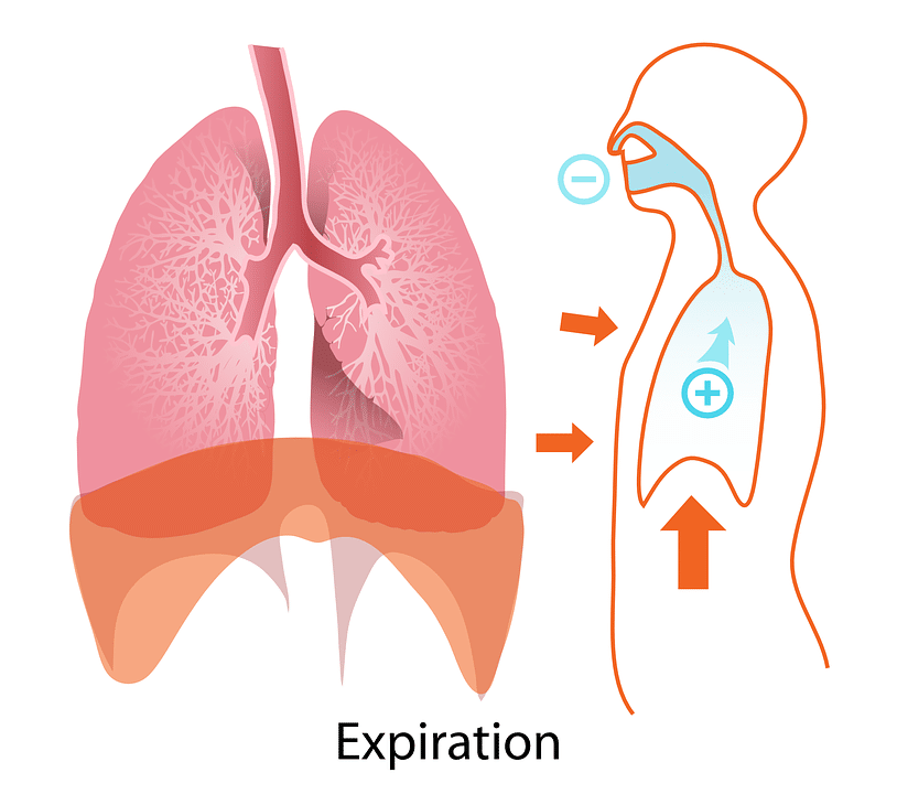 Fisioterapia respiratoria, la espiración