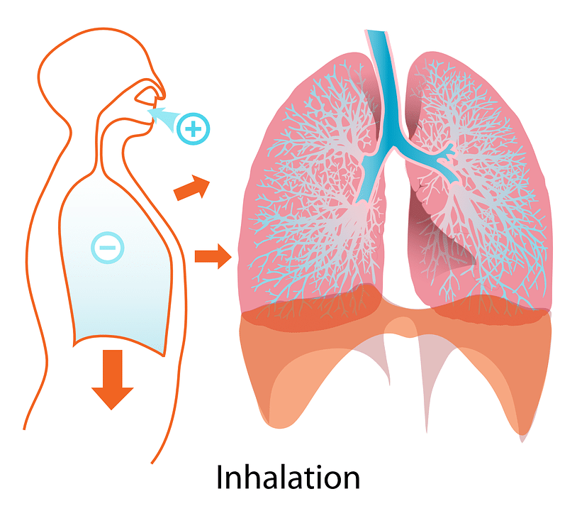 Fisioterapia respiratoria, la inspiración