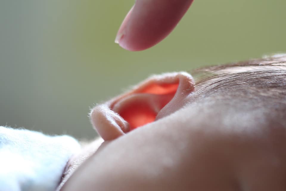 oreja de bebé