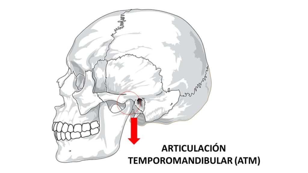 Articulación Temporamandibular (ATM) por Clínica Fuensalud