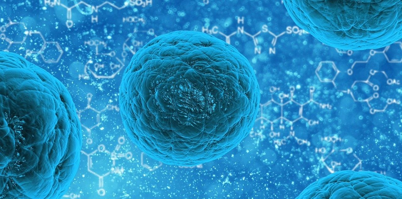 Aumentar el Sistema Inmunológico con Acupuntura