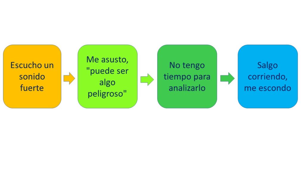 Reacción al ruido 2 por Clínica Fuensalud