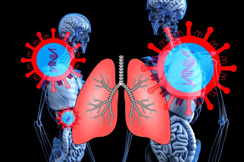 Sistema Respiratorio por Clínica Fuensalud