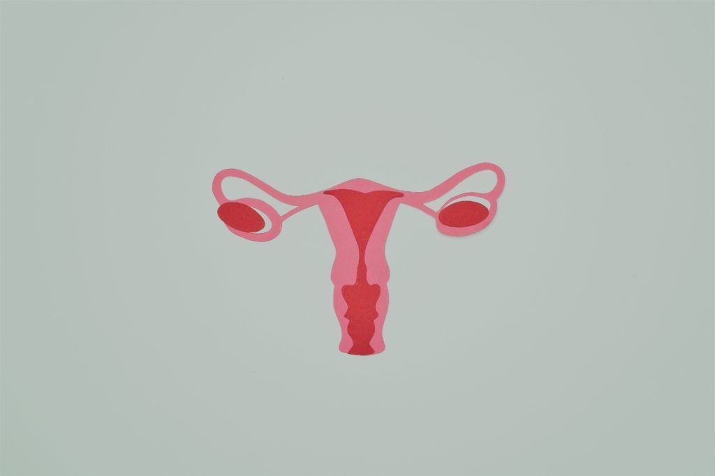 Aparato reproductor femenino por Clínica Fuensalud